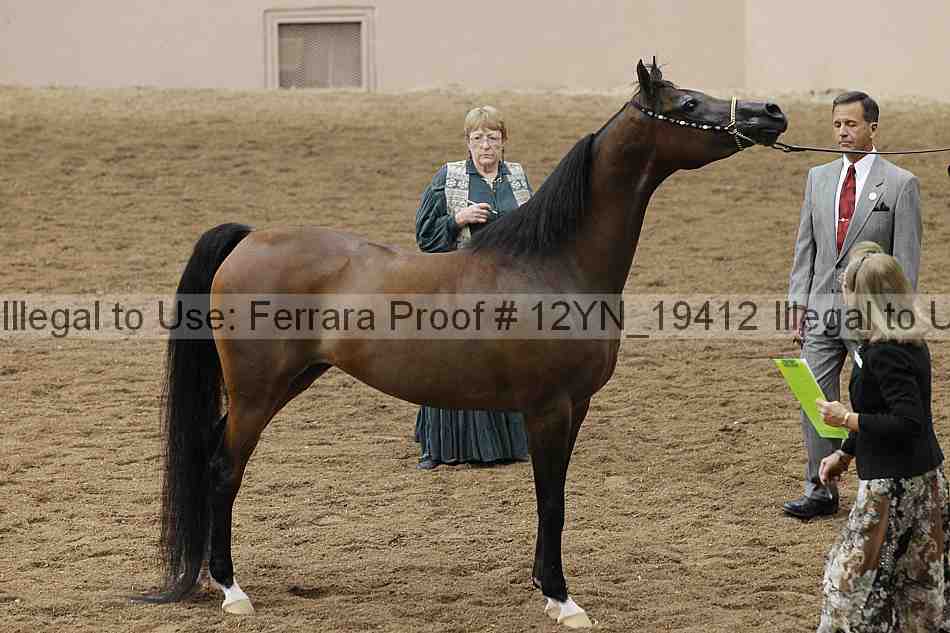 Proof 12yn_19412
