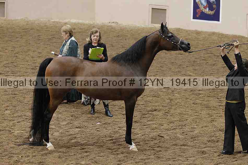 Proof 12yn_19415