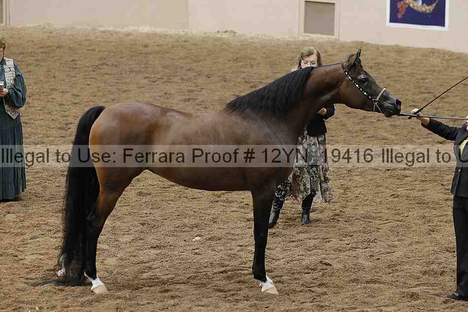 Proof 12yn_19416