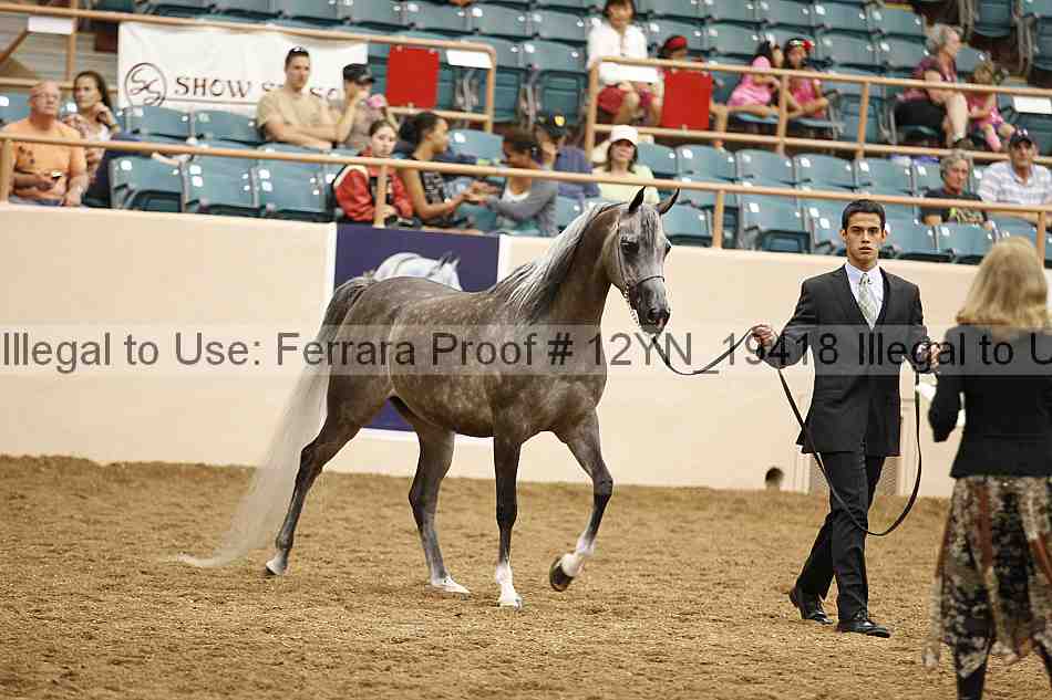 Proof 12yn_19418