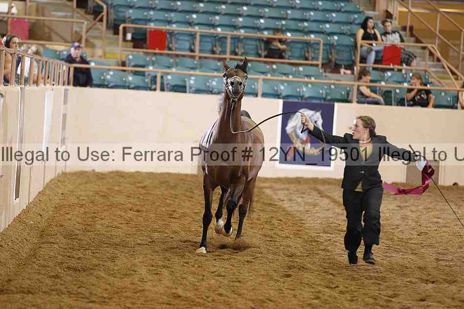 Proof 12yn_19501