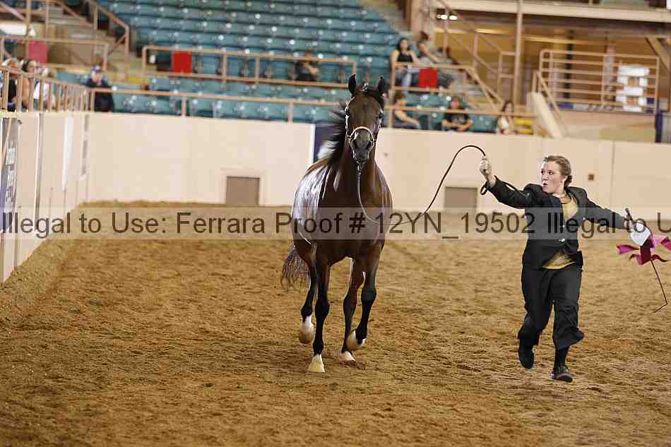 Proof 12yn_19502