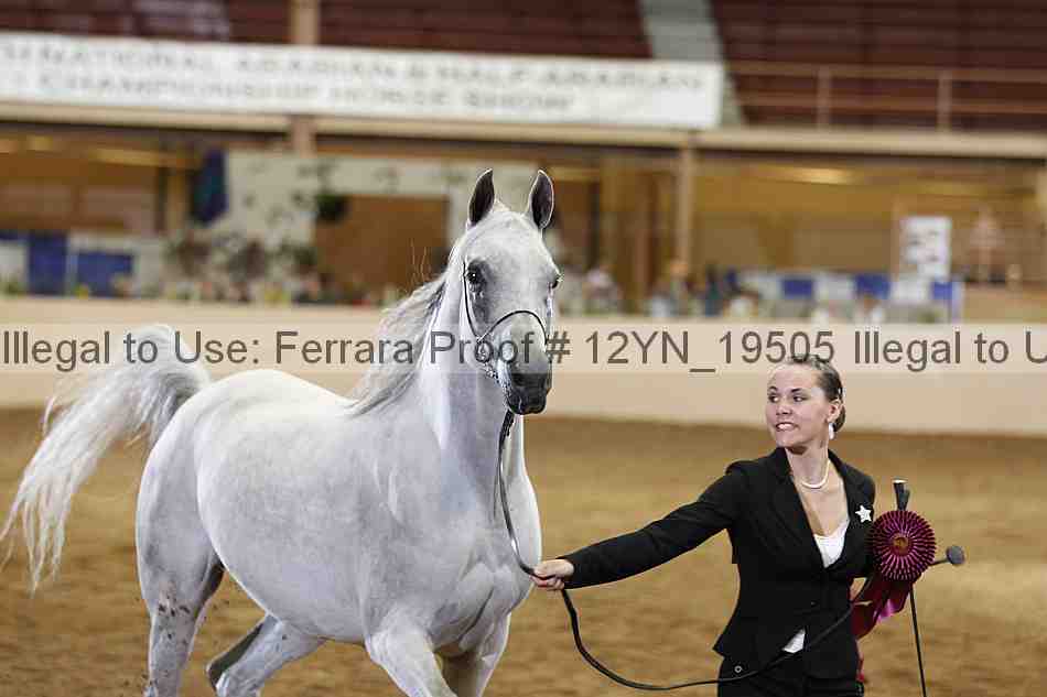 Proof 12yn_19505