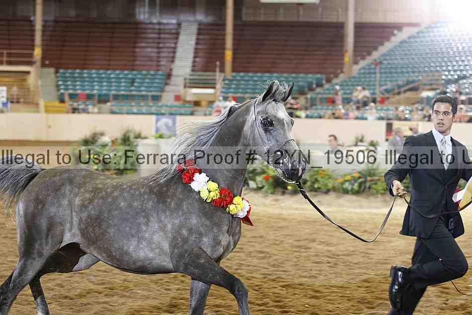 Proof 12yn_19506