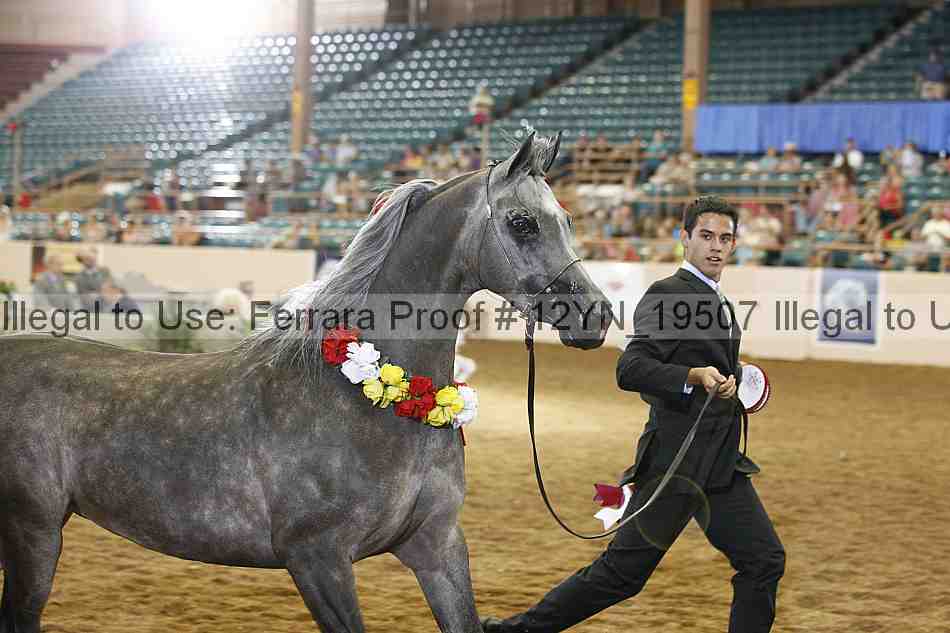 Proof 12yn_19507