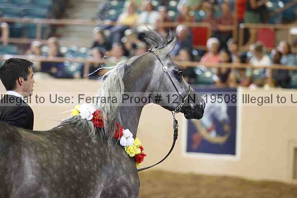 Proof 12yn_19508