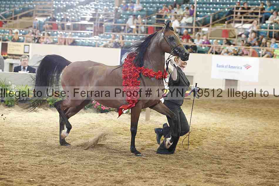 Proof 12yn_19512