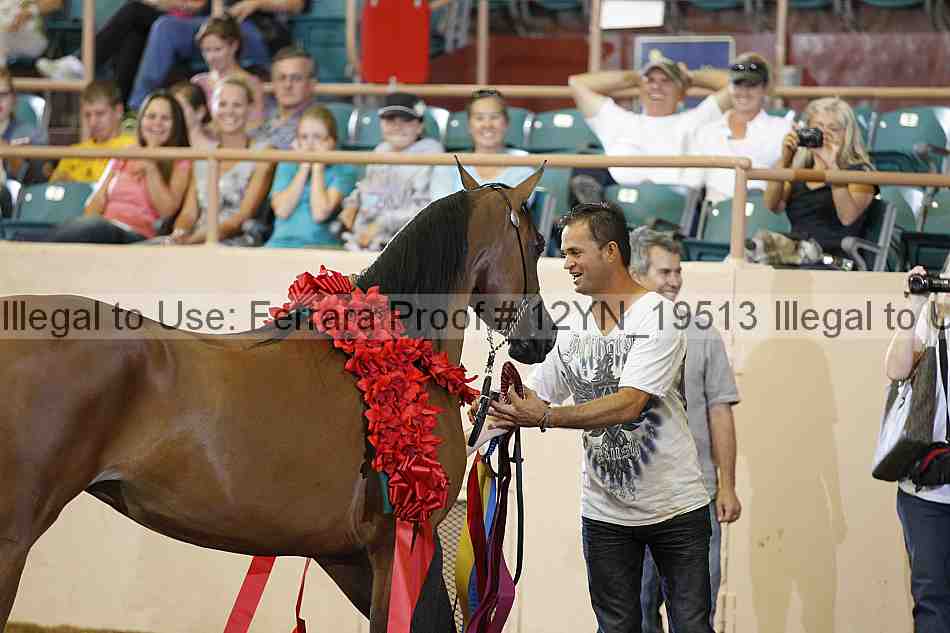 Proof 12yn_19513