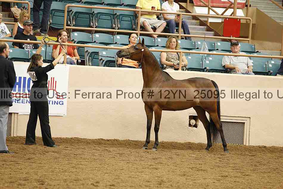 Proof 12yn_25095
