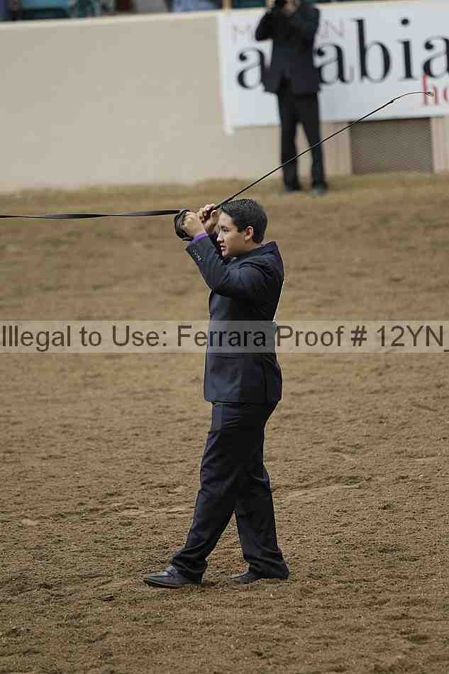 Proof 12yn_25113
