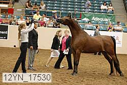 12yn_17530 proof