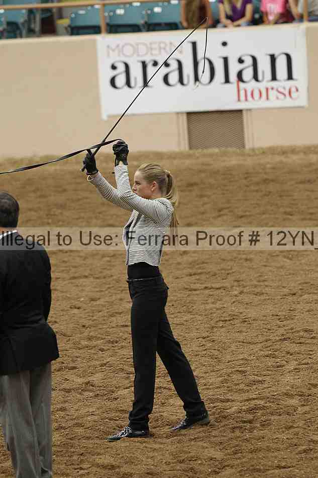 Proof 12yn_17533