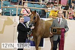 12yn_17582 proof