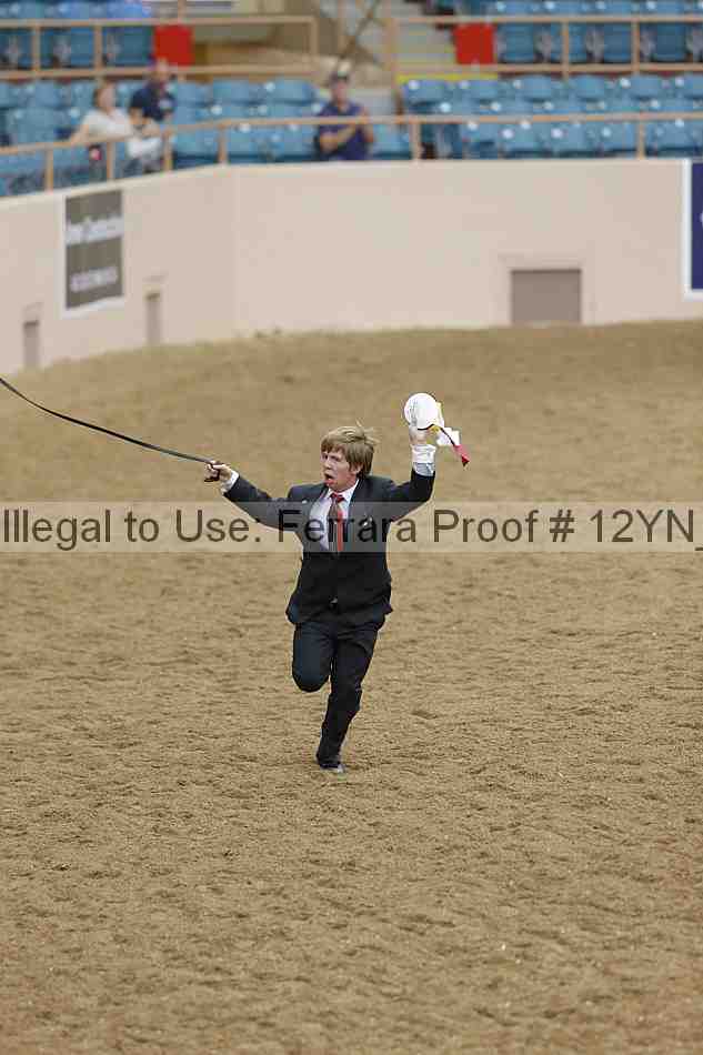 Proof 12yn_17670