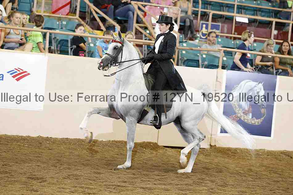 Proof 12yn_19520