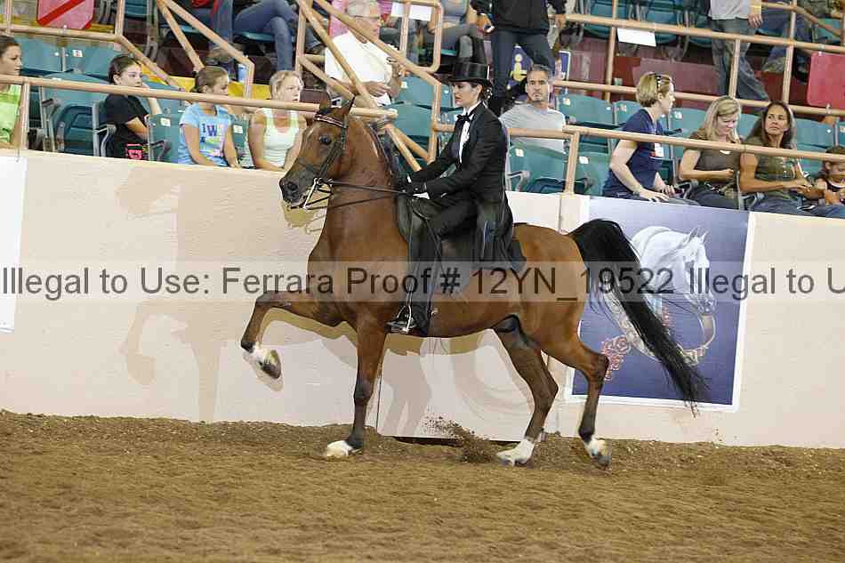 Proof 12yn_19522