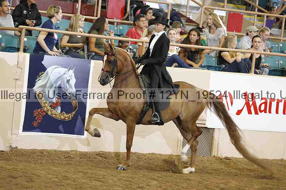 Proof 12yn_19524
