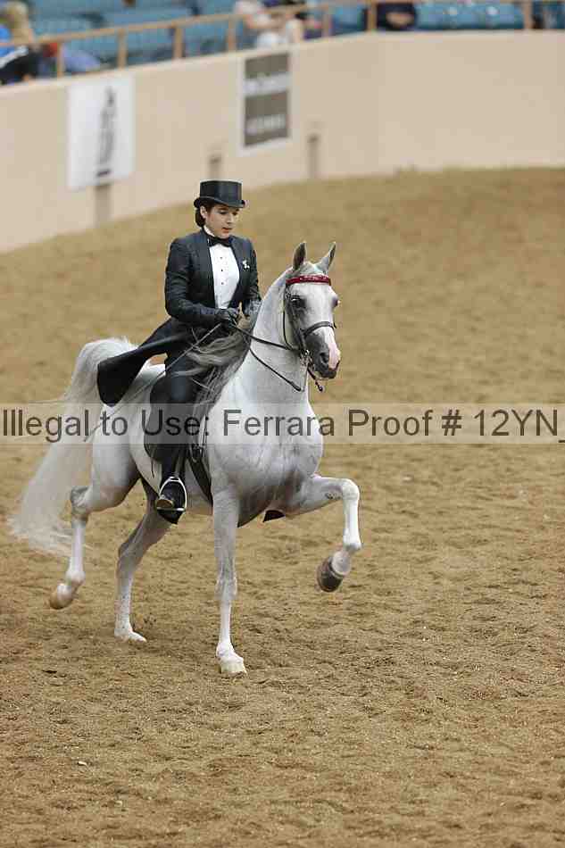 Proof 12yn_19525
