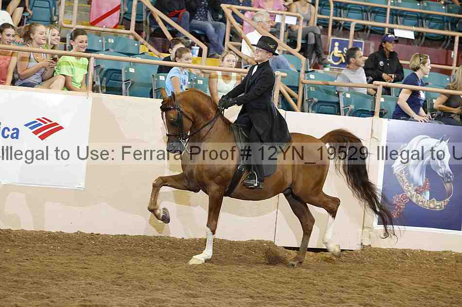 Proof 12yn_19529