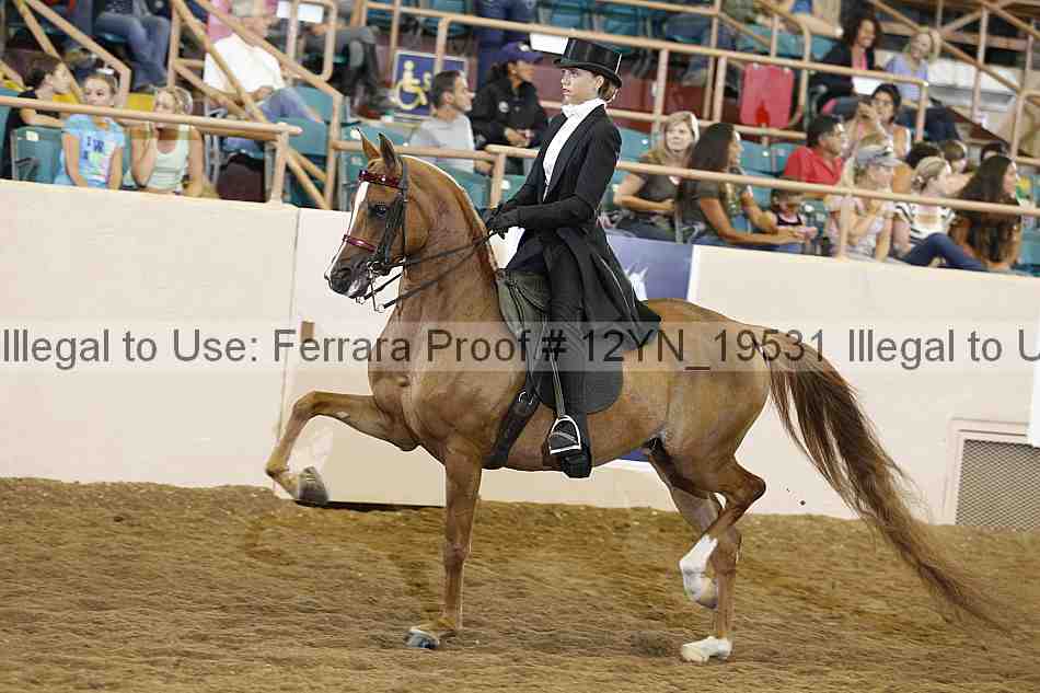 Proof 12yn_19531