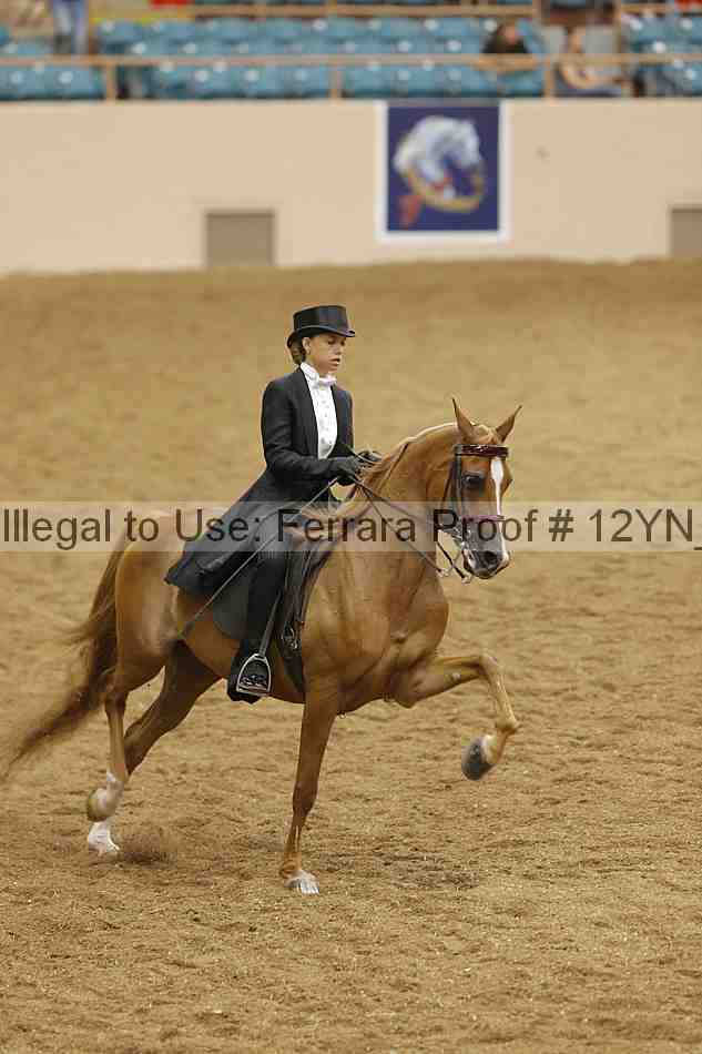 Proof 12yn_19533
