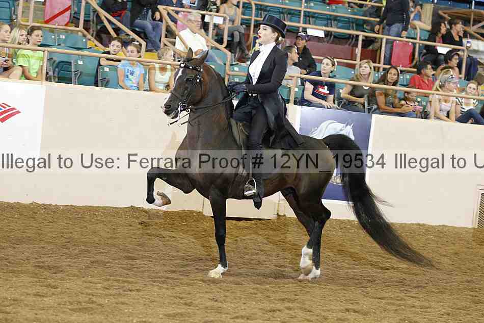 Proof 12yn_19534