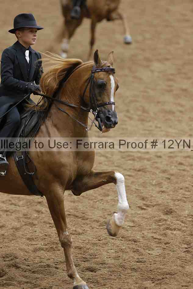 Proof 12yn_19538