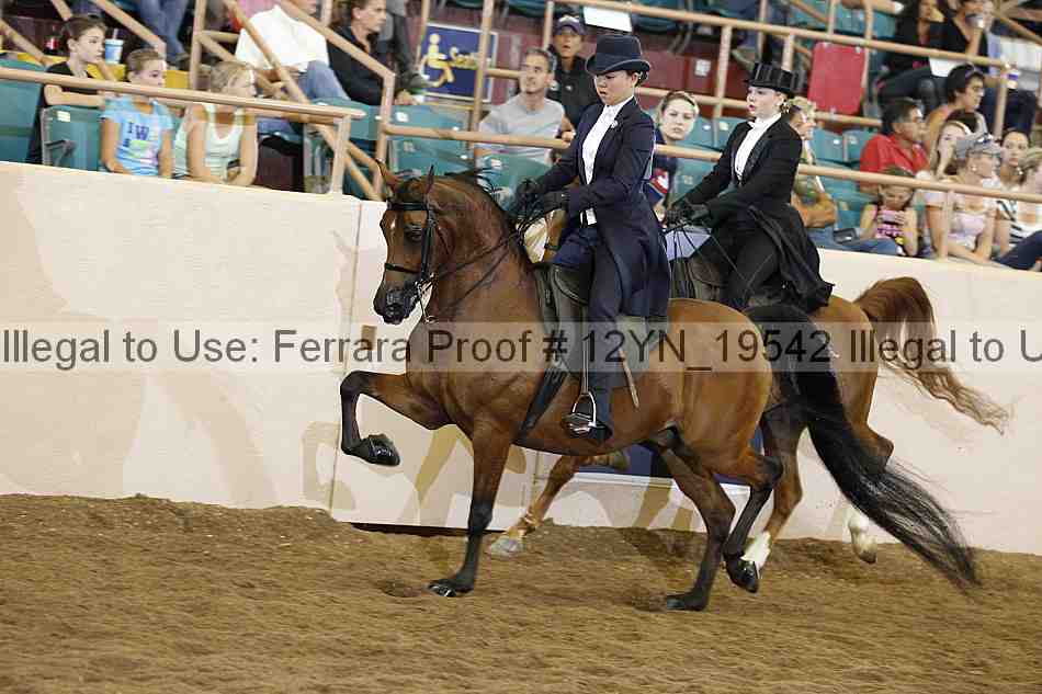 Proof 12yn_19542