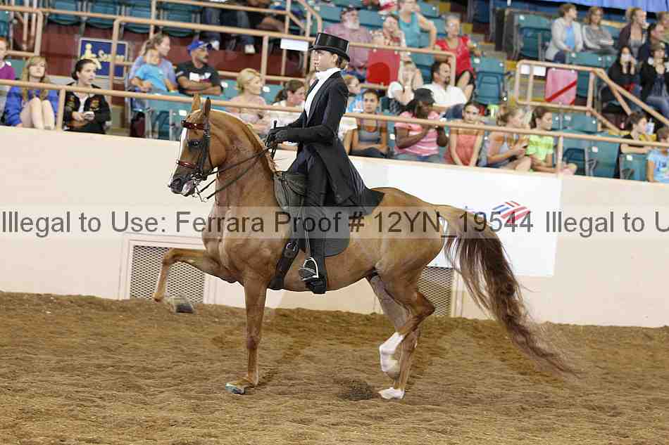 Proof 12yn_19544
