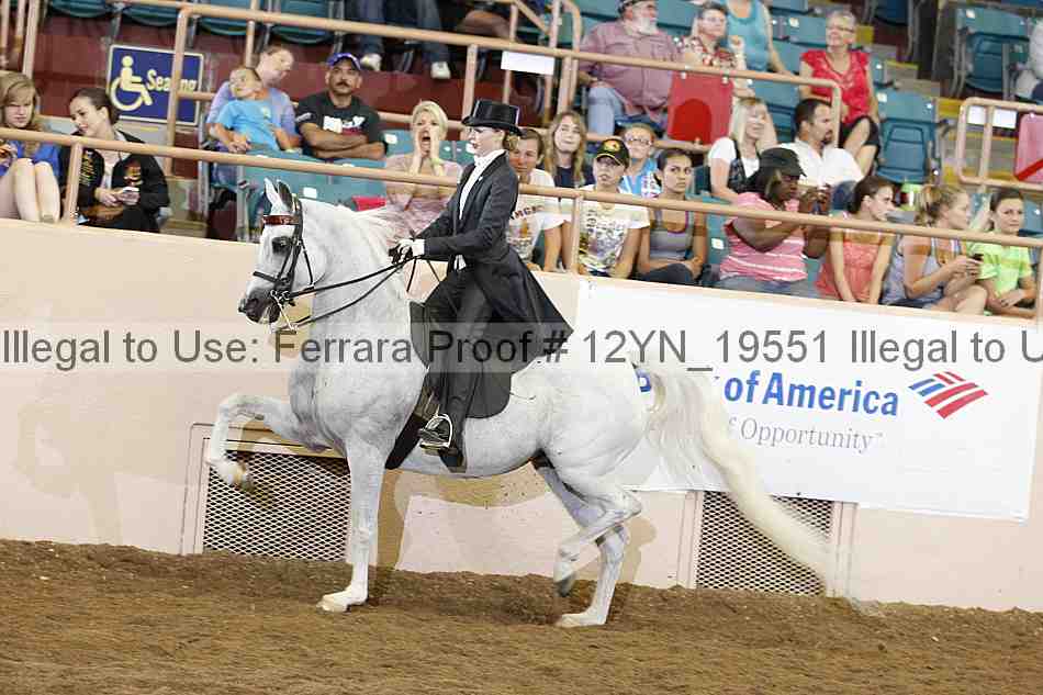 Proof 12yn_19551