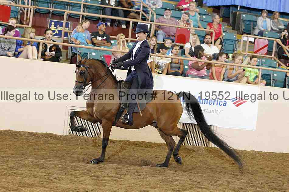 Proof 12yn_19552
