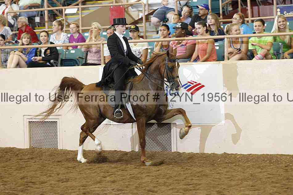 Proof 12yn_19561
