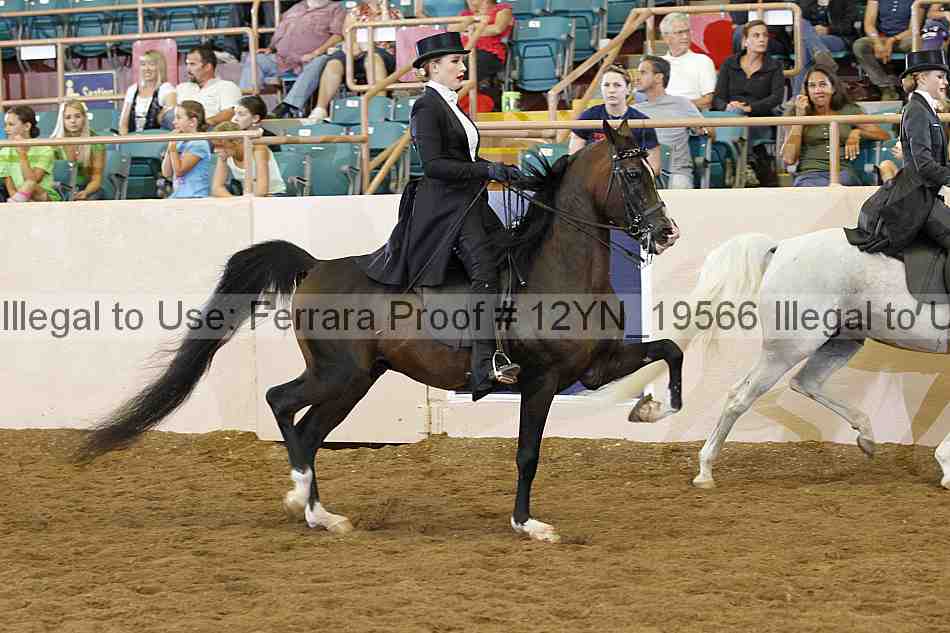 Proof 12yn_19566