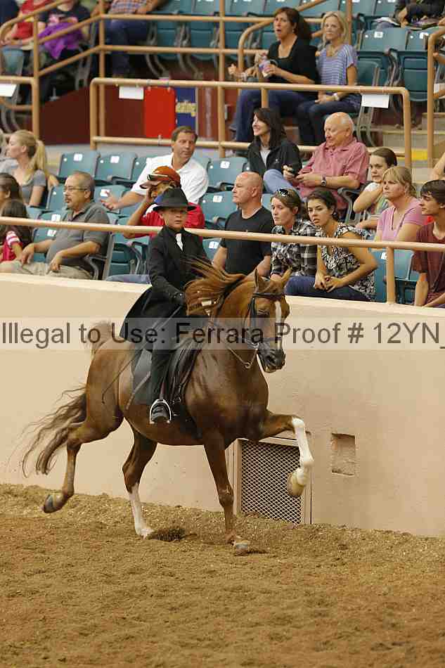 Proof 12yn_19581