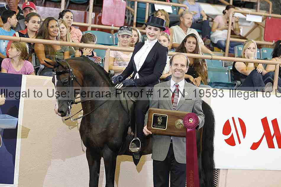 Proof 12yn_19593
