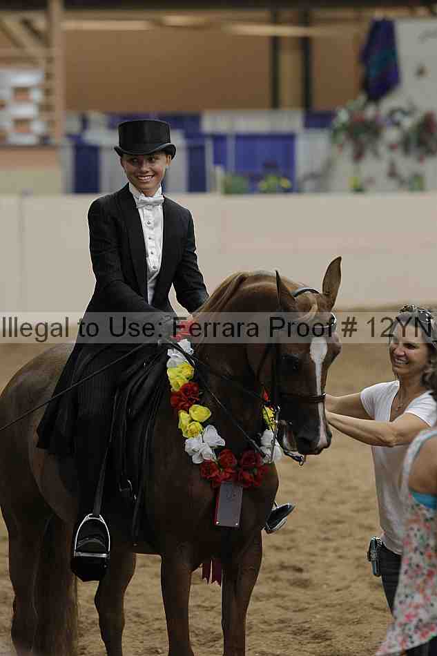 Proof 12yn_19603