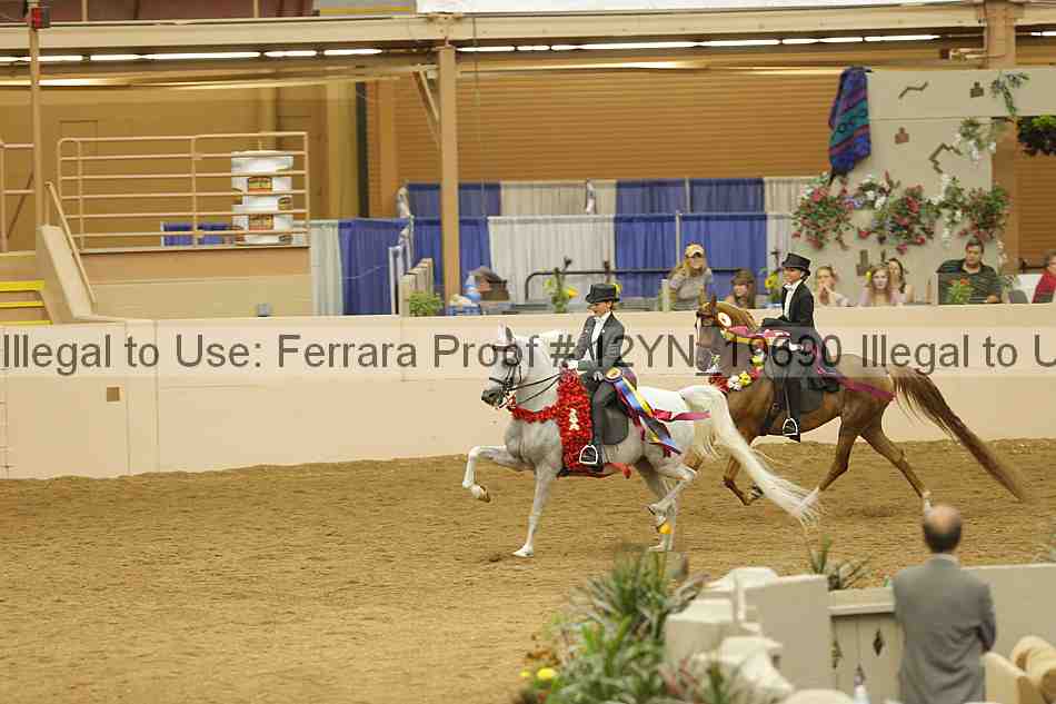 Proof 12yn_19690