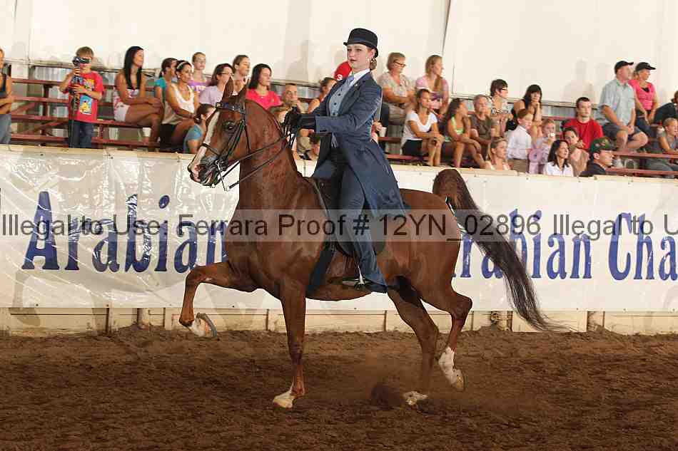 Proof 12yn_02896