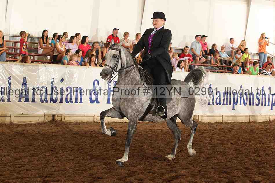 Proof 12yn_02901