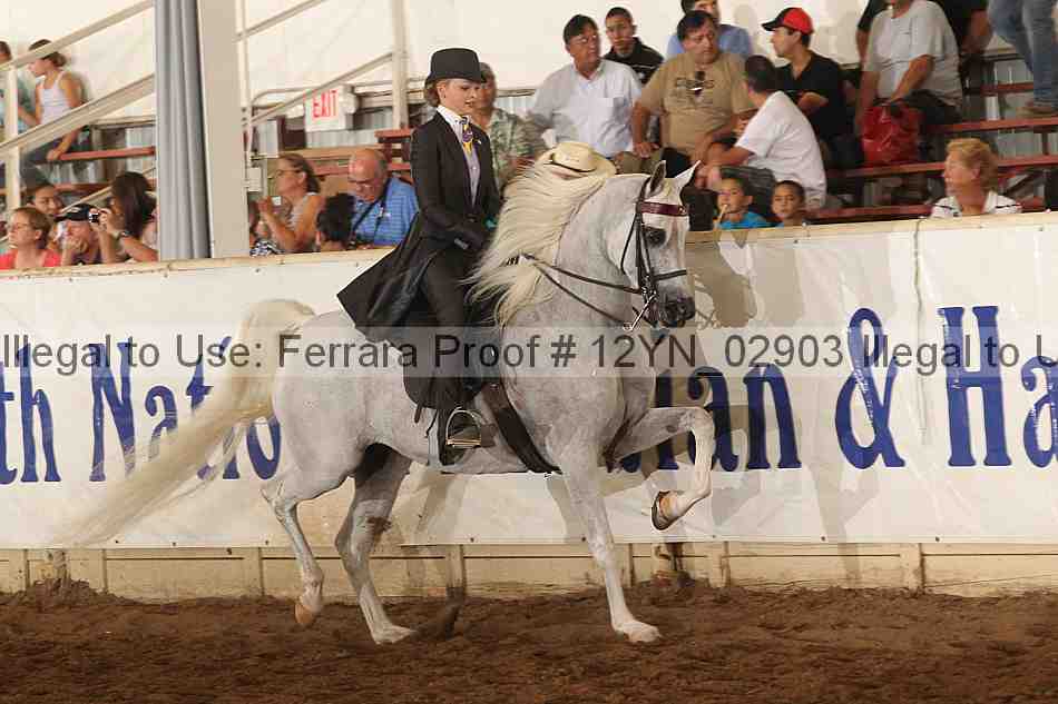 Proof 12yn_02903