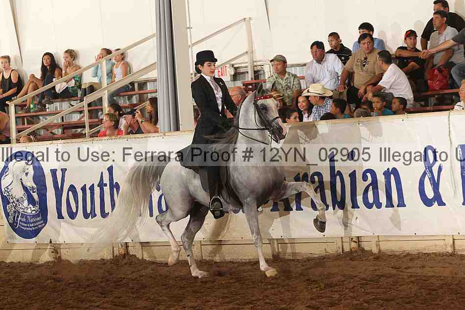 Proof 12yn_02905