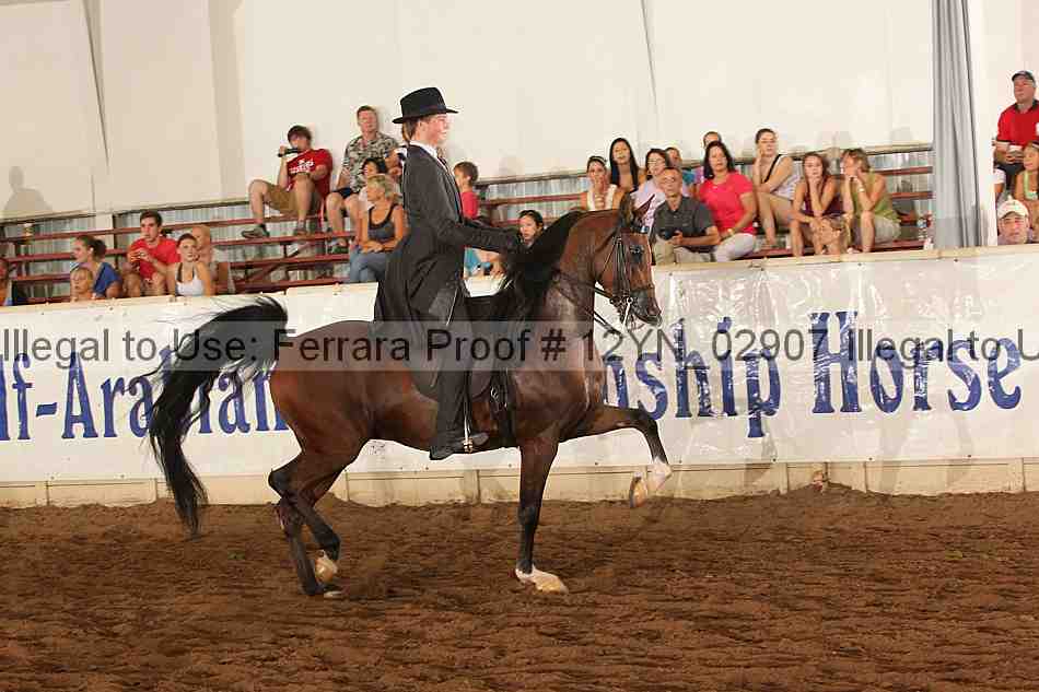 Proof 12yn_02907