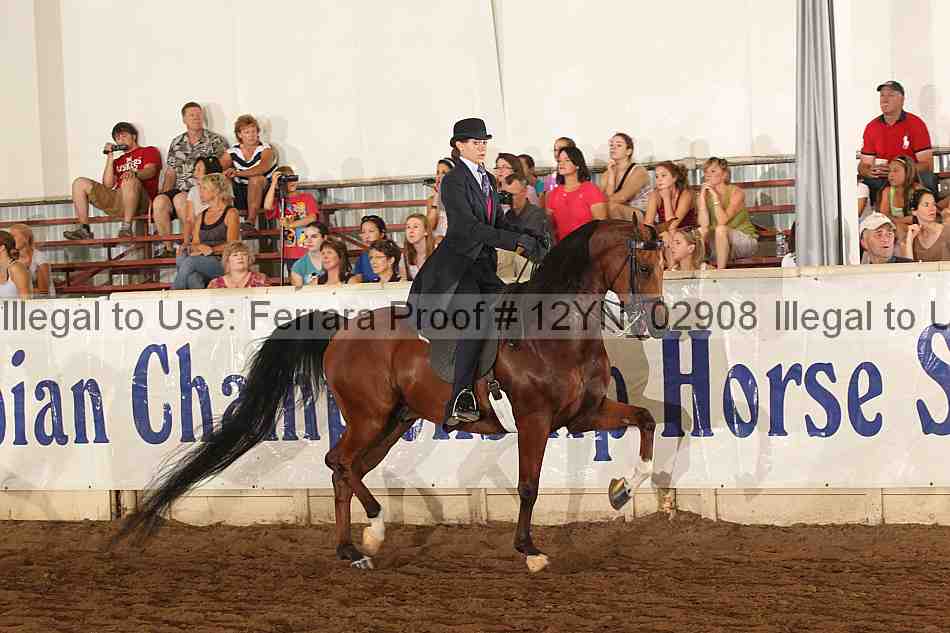Proof 12yn_02908