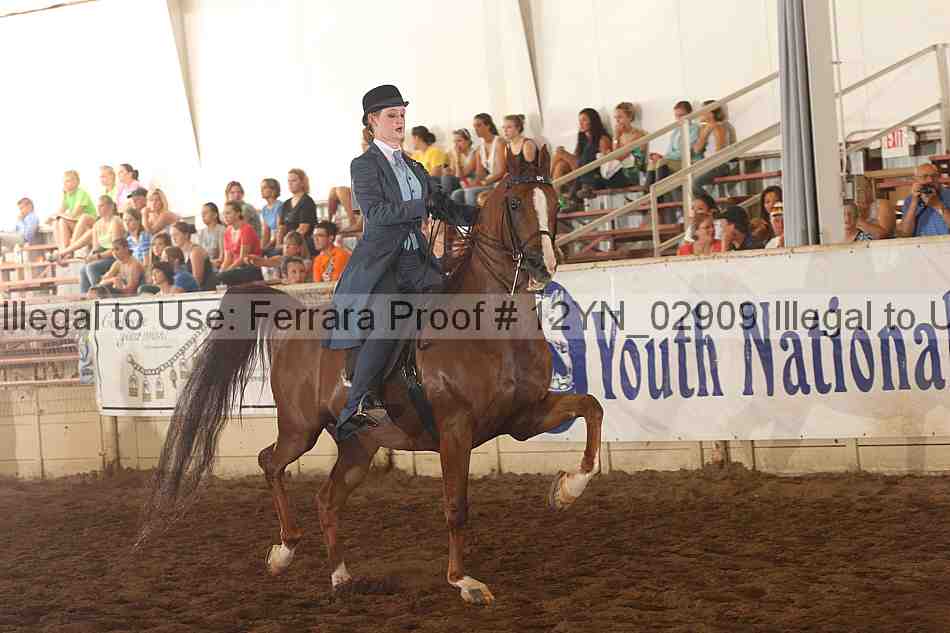 Proof 12yn_02909