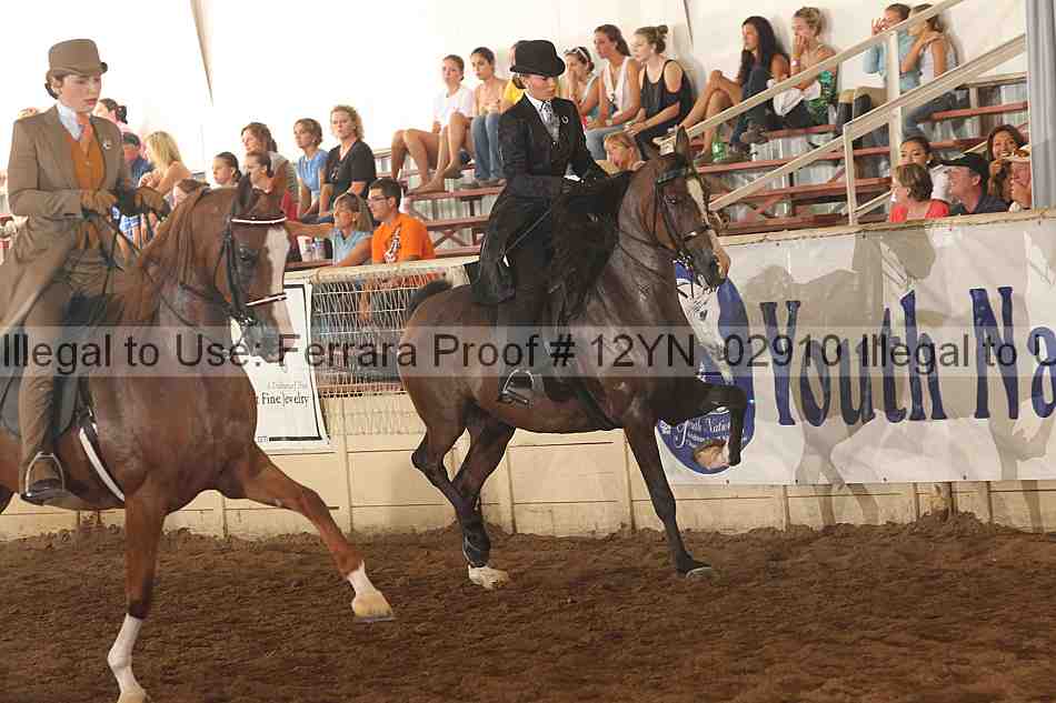 Proof 12yn_02910