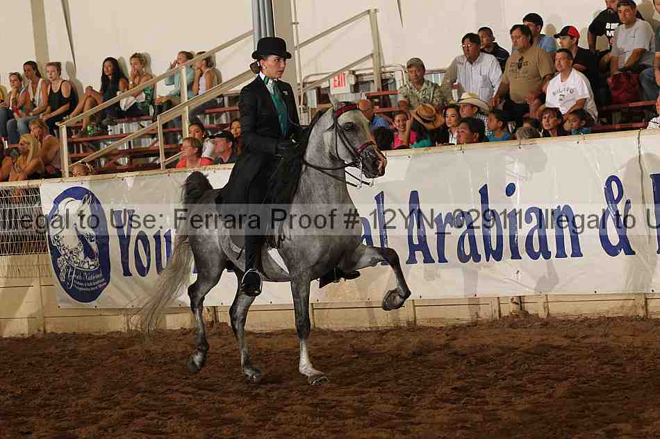 Proof 12yn_02911