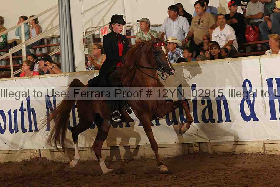 Proof 12yn_02915