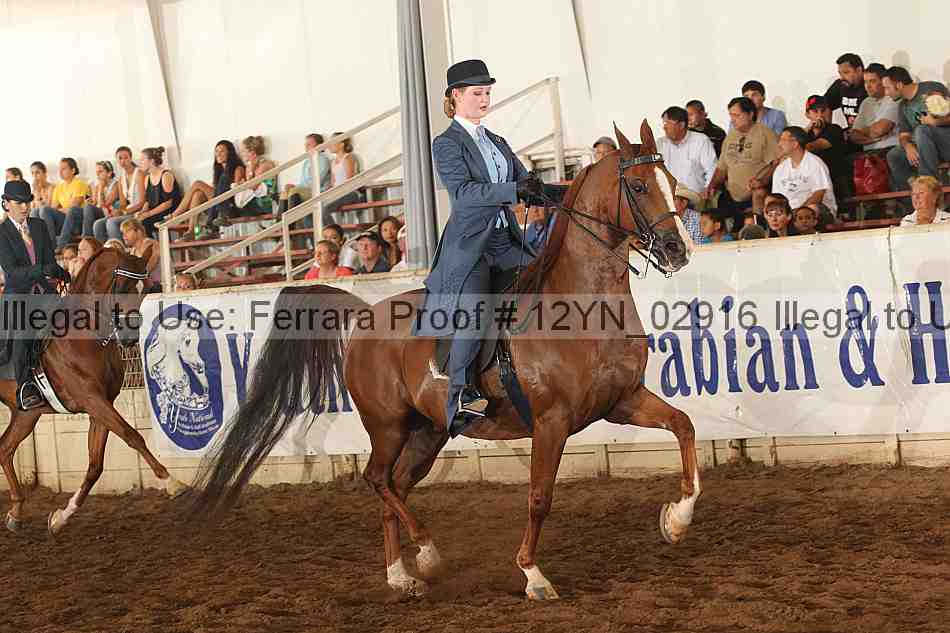 Proof 12yn_02916