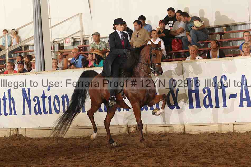 Proof 12yn_02918