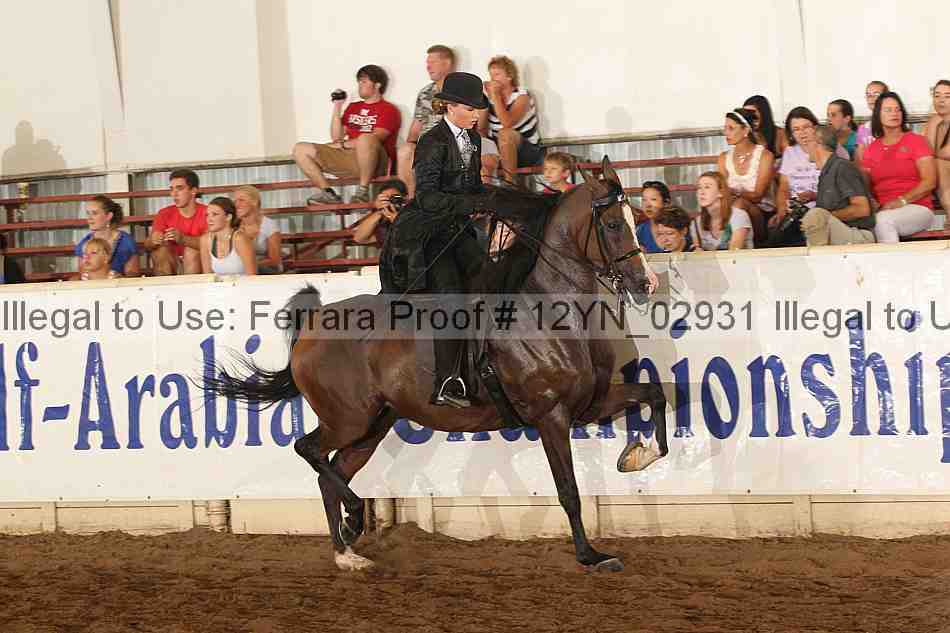 Proof 12yn_02931